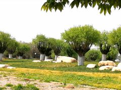 -汉长安城未央宫国家考古遗址公园