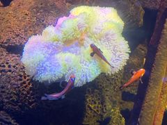 -沈阳海洋探索中心