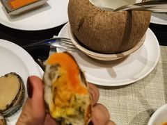椰汁炖雪蛤-隐秀山居酒店·秀厨融合西餐厅