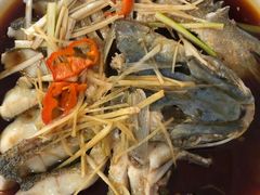 -煲来饱去冷水鱼