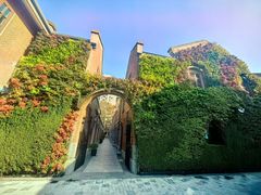 -香港池仔记肠粉王(博多新记襄阳南路店)