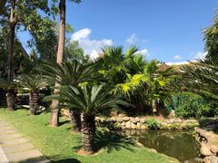 -三亚湾海居铂尔曼度假酒店