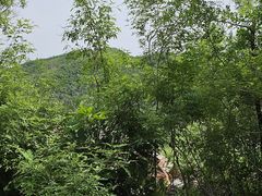 -八奇洞景区