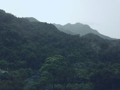 商户图片-鼎湖山风景区