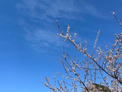 -康陵正德春饼宴26号