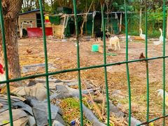 -呼吸森林·生态农庄农家乐私房菜