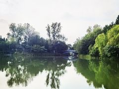 -溱湖国家湿地公园