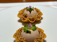 -觀芷隐轩