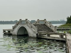 -桐乡凤凰湖