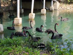 -长白岛森林公园