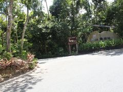 从山下到-三亚亚龙湾人间天堂鸟巢度假村