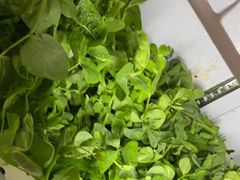 -金鼎雪山牦牛杂火锅(理县总店)