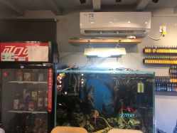 点击看大图 -MDZ STORE·TATTOO·耳饰