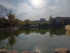 -莲湖公园
