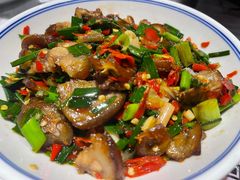 -壹盏灯(惠农店)