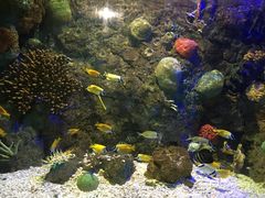 -洛阳龙门海洋馆