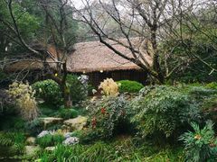 -中国茶叶博物馆(双峰馆区)