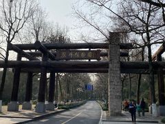-杭州植物园