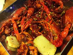 香辣小龙虾-辣猫龙虾(马泉营店)