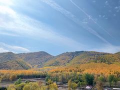 -塞罕坝国家级自然保护区