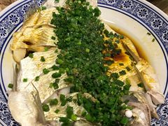 清蒸白条-兰边碗(鼓楼店)
