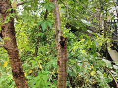 -墨江北回归线标志园