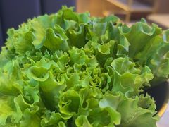 -杨记齐齐哈尔烤肉(总店)