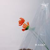 💕拍人摄比看展的人多
