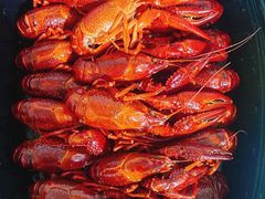 -肥肥虾庄·金牌油焖大虾(首义路店)
