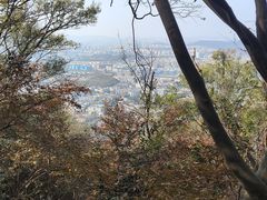 -紫金山山顶公园