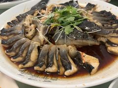 -京北渔家傲