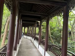 -上海佘山国家森林公园天马山园