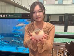 -肆月河豚·淮扬菜·湘菜(华天店)