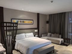 -深圳湾科技园丽雅查尔顿酒店