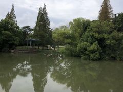 -上海滨江森林公园