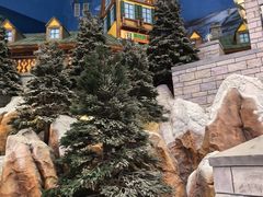 -长沙湘江欢乐雪域