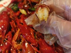 -阿财老铺·老蚌埠龙虾城(华夏总店)