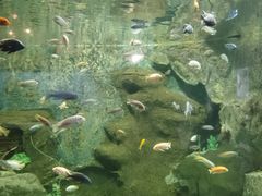 -厦门海底世界