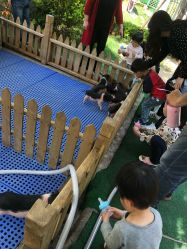 -萌宠亲子动物乐园(槐房万达店)