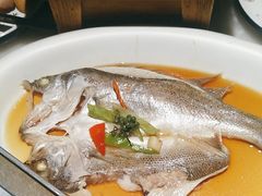 -绿茶餐厅(天通苑华联店)
