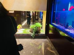 -九洲喜来登酒店湖月日餐厅