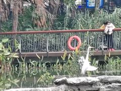 -四海公园(南山区)