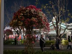 -赤坎·广东华侨国际旅游度假区