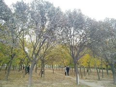 景点-汉景帝阳陵博物院