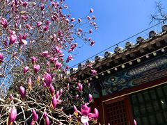-潭柘寺景区