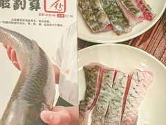 -正能量脆肉鲩火锅