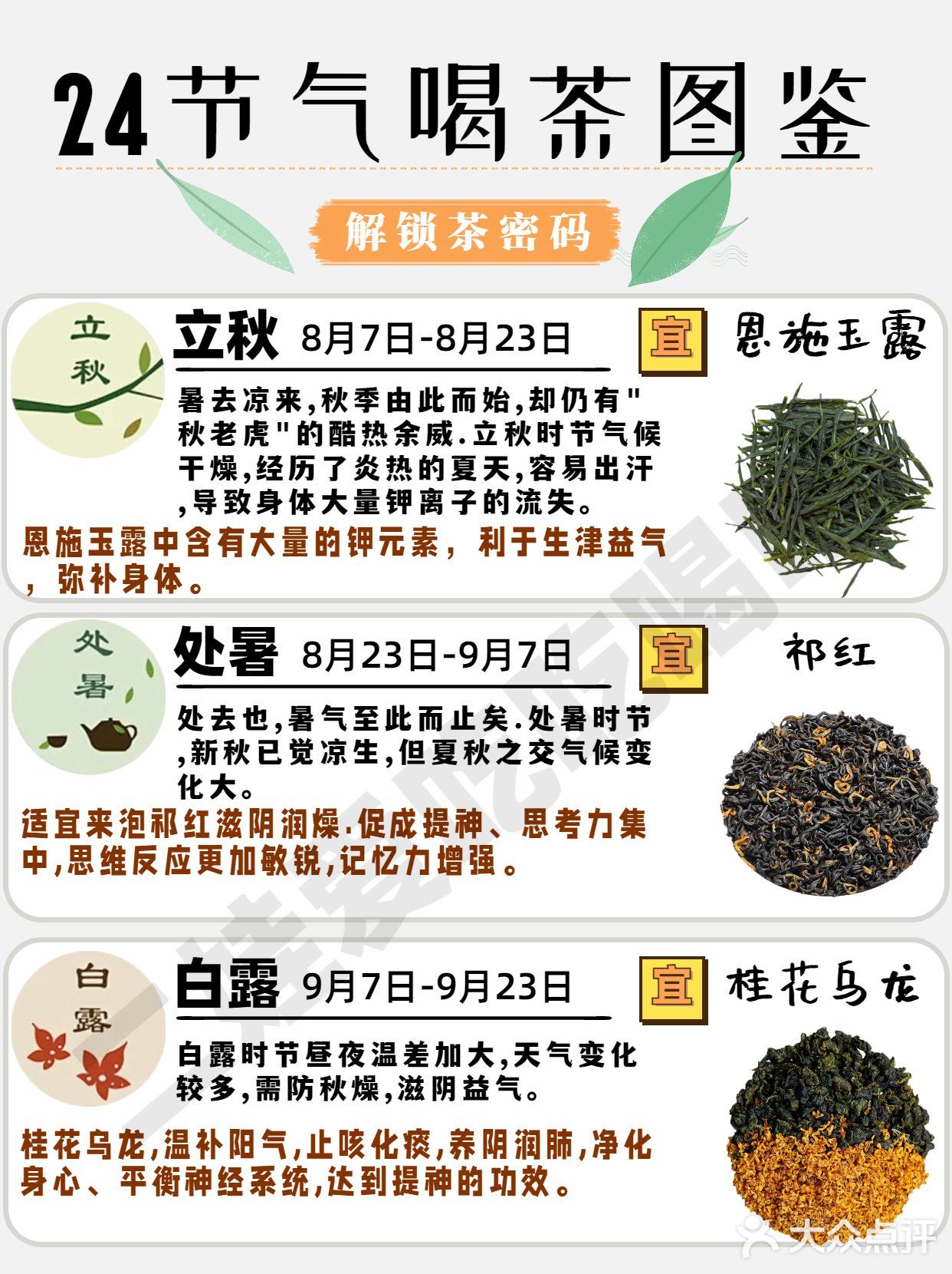 24节气喝茶图鉴🍃解锁茶密码