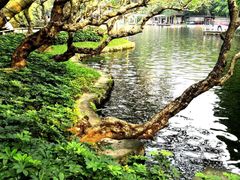 -晓港公园