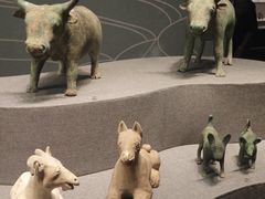 -广西壮族自治区博物馆