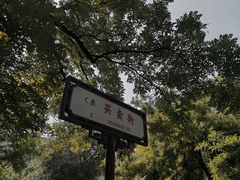 -香山公园